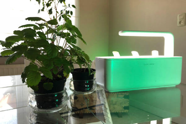 Diy Systeme D Arrosage Goutte A Goutte Pas Cher