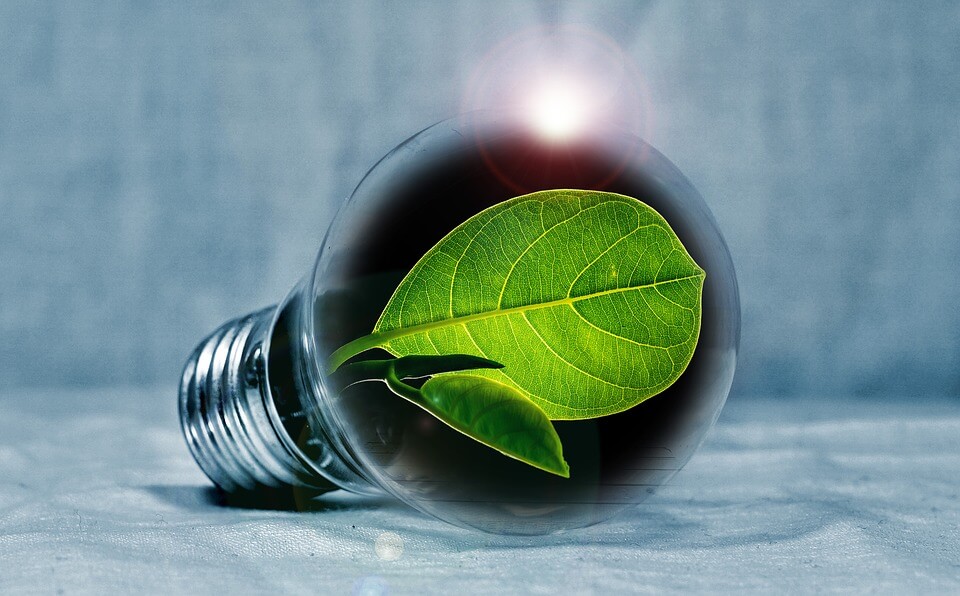 light-bulb-2631864_960_720 light-bulb-2631864_960_720